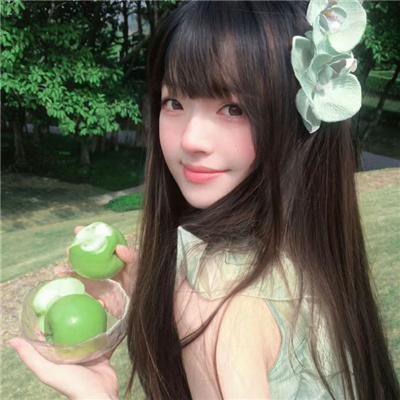 狐狸猎手