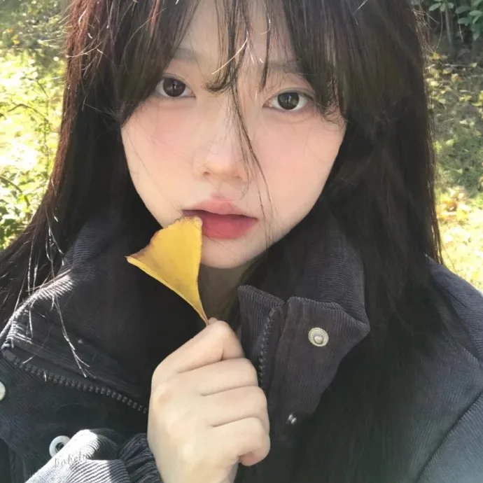 小岛奇谭